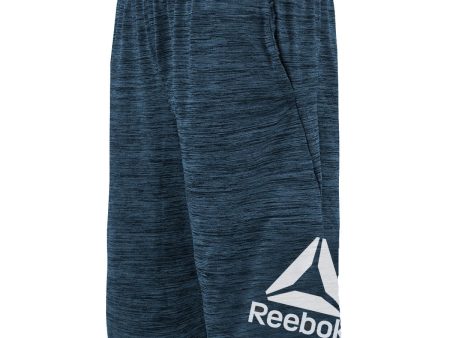 Reebok Boy s Big Logo Training Shorts Online