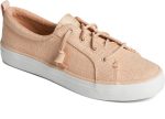 Women s Crest Vibe SeaCycled Canvas Ivory on Sale