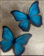 Blue Morphos - Oil on Canvas with Silver Foil For Cheap