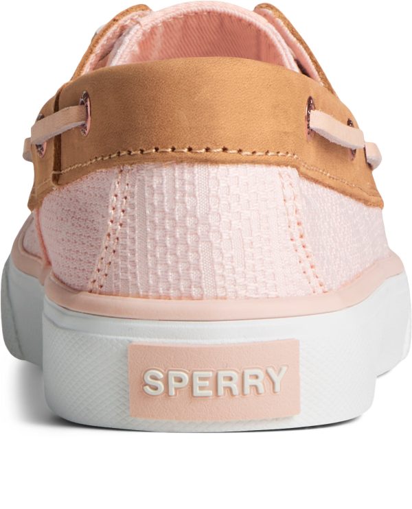 Women s Bahama 2.0 SeaCyled Canvas Pink Online now