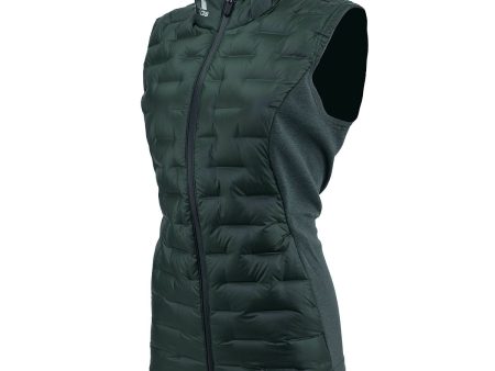 adidas Women s Frostguard Vest Legend Earth S Discount