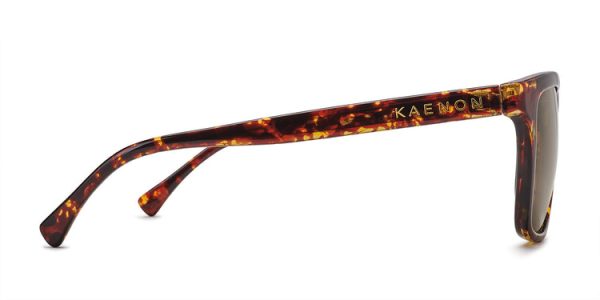 Kaenon Venice Polarized Sunglasses Tokyo Tortoise Supply