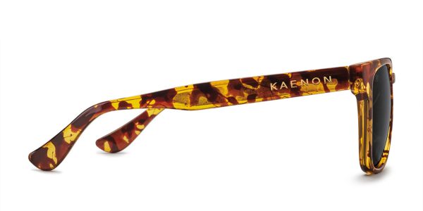 Kaenon Avalon Polarized Sunglasses Tokyo Tortoise Online Sale