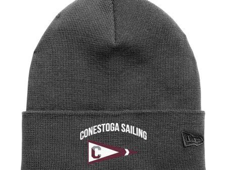 New Era Conestoga Beanie Hot on Sale