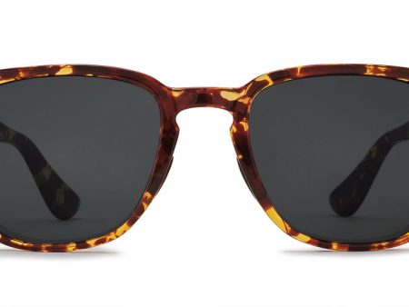 Kaenon Avalon Polarized Sunglasses Tokyo Tortoise Online Sale