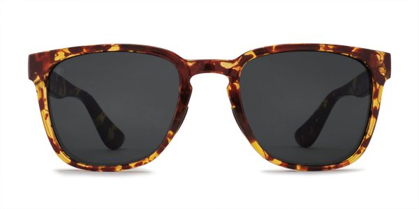 Kaenon Avalon Polarized Sunglasses Tokyo Tortoise Online Sale