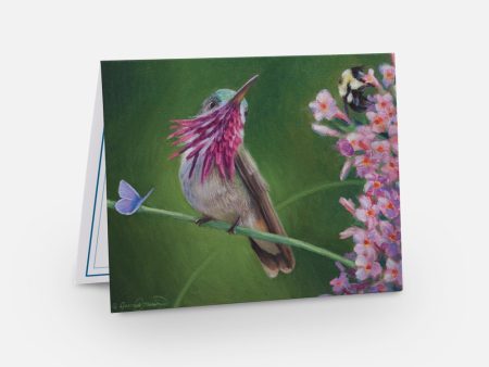 Bird Watcher Notecard Pack Sale