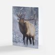 Elk Notecard Pack Online