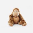 Monkey Cutie Toy for Baby Online Hot Sale