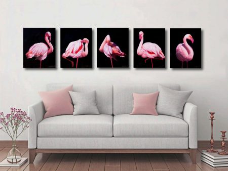 Flamingos - Open Edition Series For Cheap